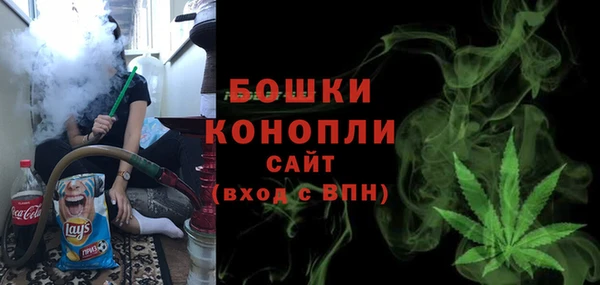 ГАЛЛЮЦИНОГЕННЫЕ ГРИБЫ Арсеньев